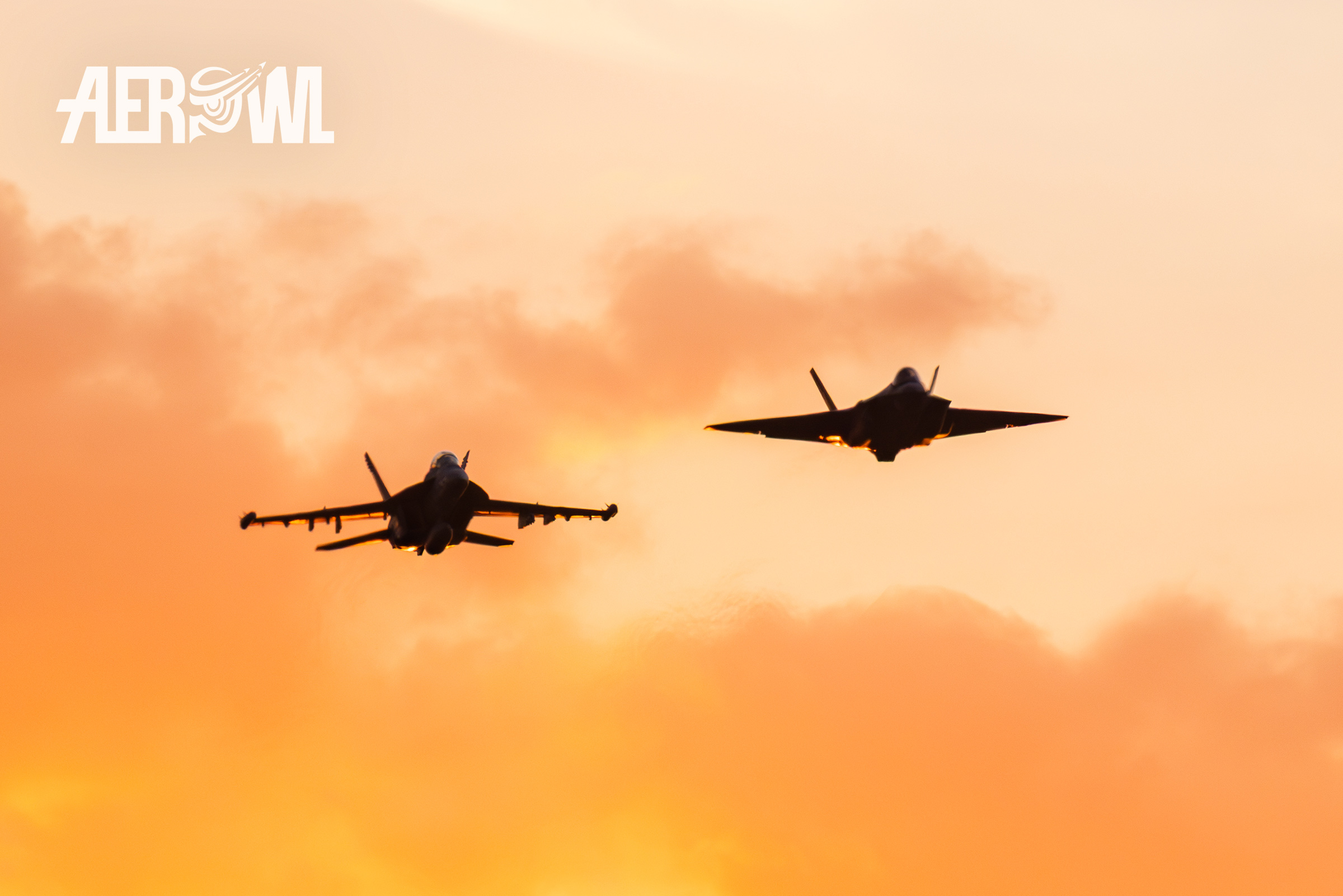 Boeing EA-18 Growler + Lockheed Martin F-35C Lightning II air evening display at the evening show of the Sun´n Fun 2025 in Lakeland, Florida.