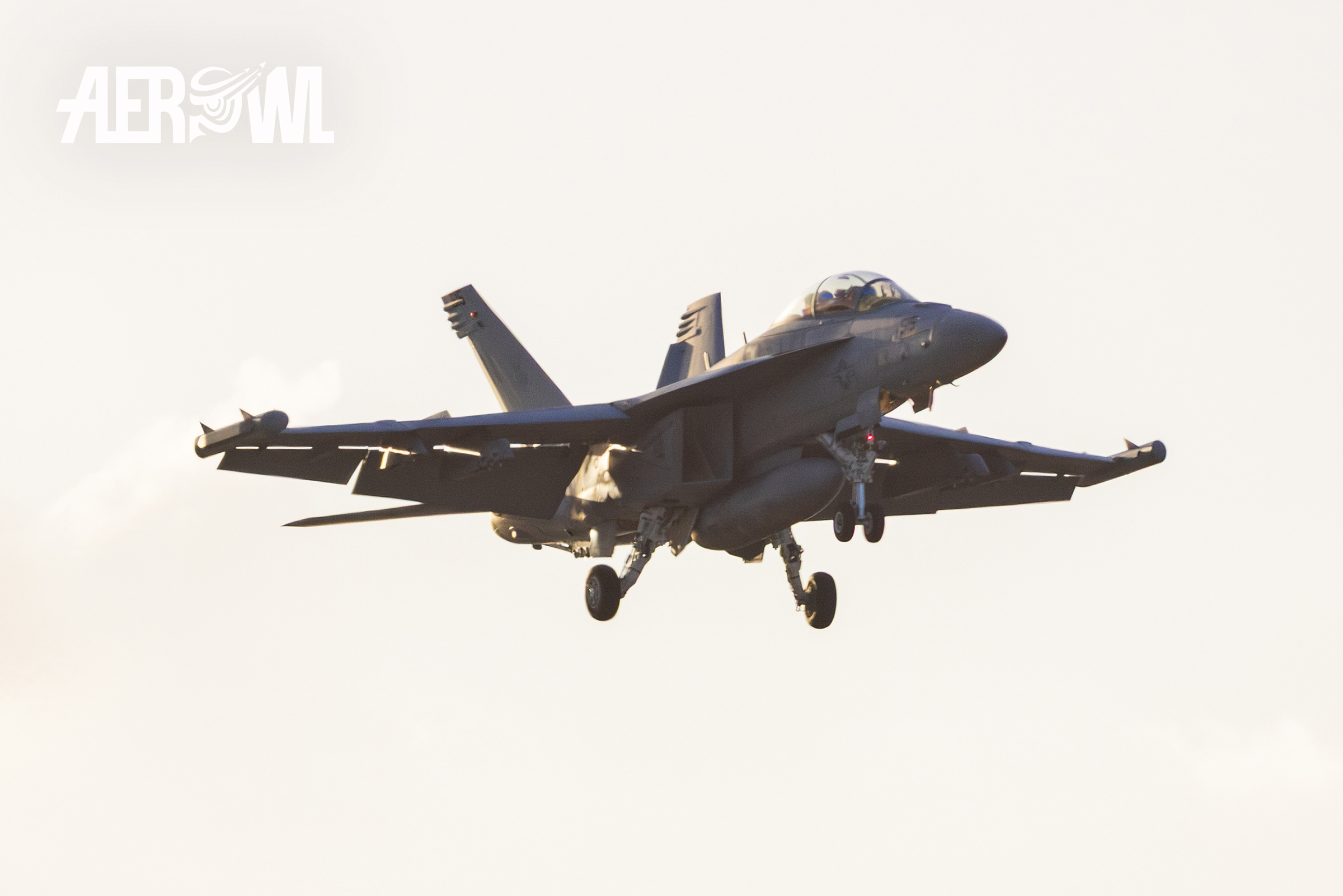 Approach of a Boeing EA-18 Growler (F/A-18D Hornet) after its evening air display during the Sun´n Fun 2025 in Lakeland, Florida.
