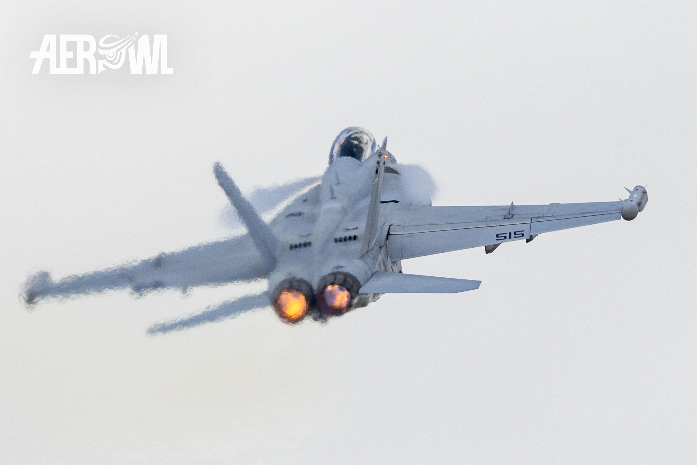 A Boeing EA-18 Growler (F/A-18F Hornet) climb up with full afterburner at the evening air display during the Sun´n Fun 2025 in Lakeland, Florida.
