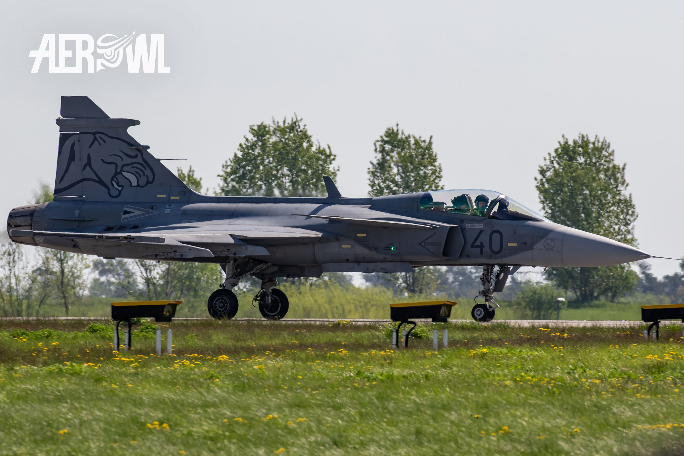 Saab JAS-39C Gripen of the Hungarian Air Force lands after the flight demonstration at the ILA 2018 in Berlin, Germany.