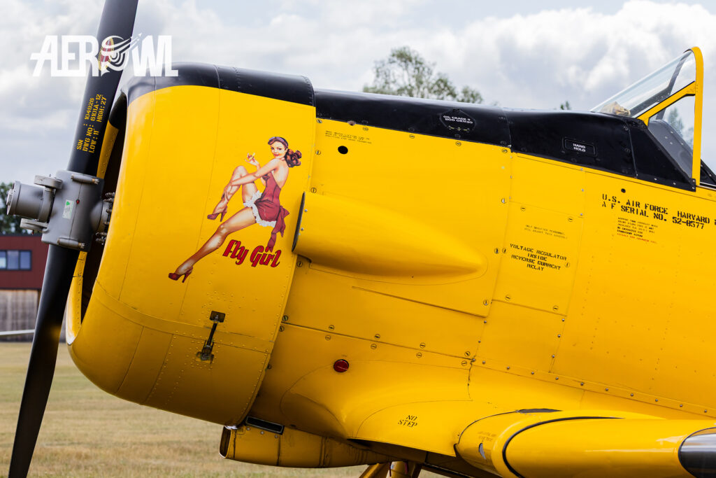 Nose art on the yellow Canadian Car and Foundry Harvard Mk. IV "D – FATE” which is parked at the bee farm in Brandenburg as part of the “Stearman & Friends 2026” event.